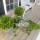 Preserved Boxwood Makeover